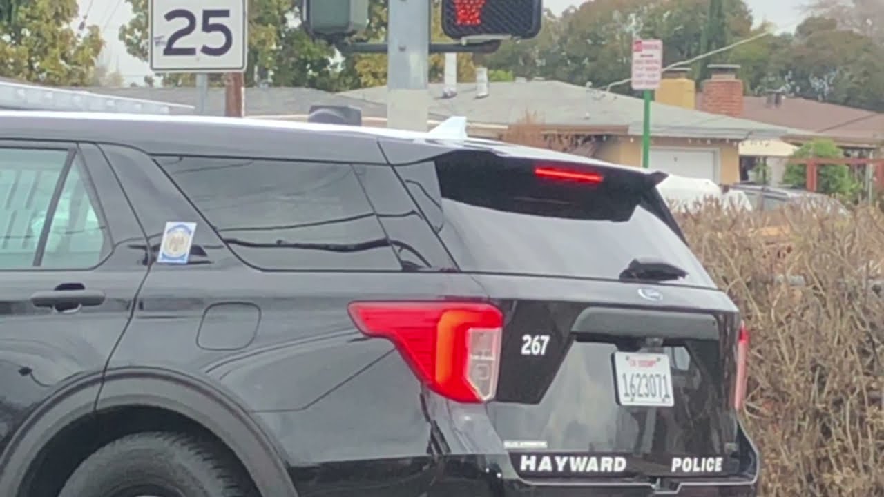 HAYWARD CALIFORNIA HOODS