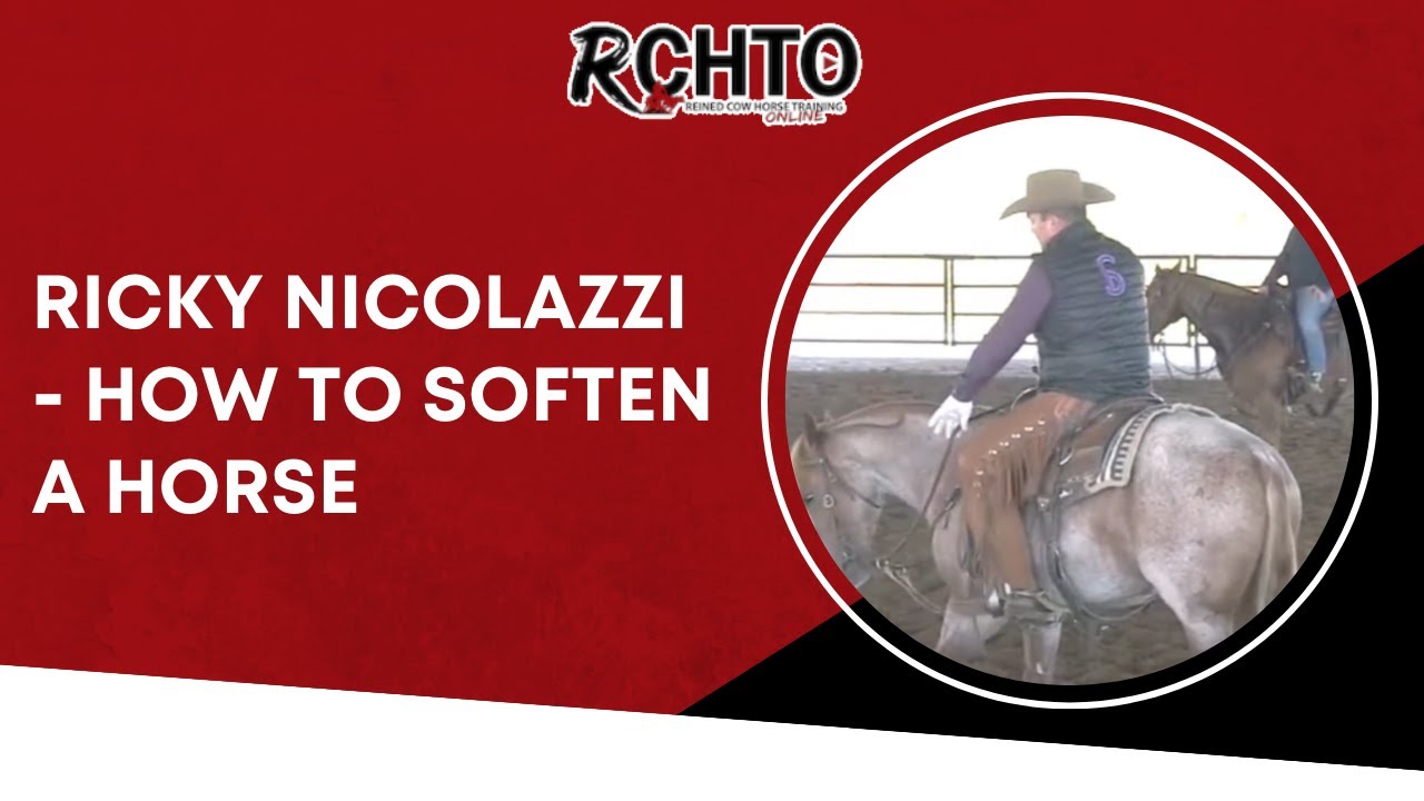 Ricky Nicolazzi -  How To Soften A Horse