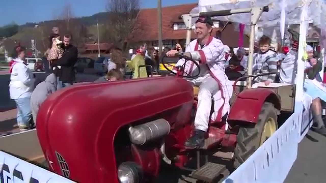 Fasentumzug 2014 Ohlsbach