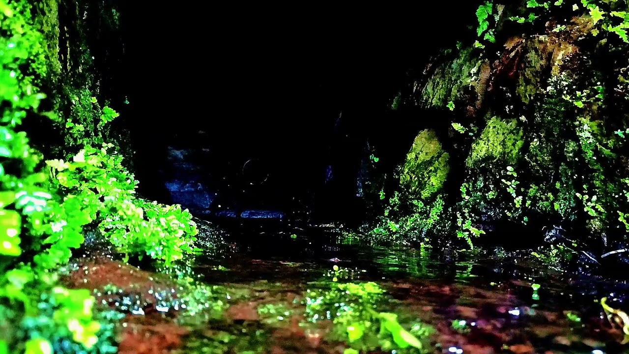 Relaxing piano music+insomnia ,stress relief, peaceful piano with rain sounds,meditasion music