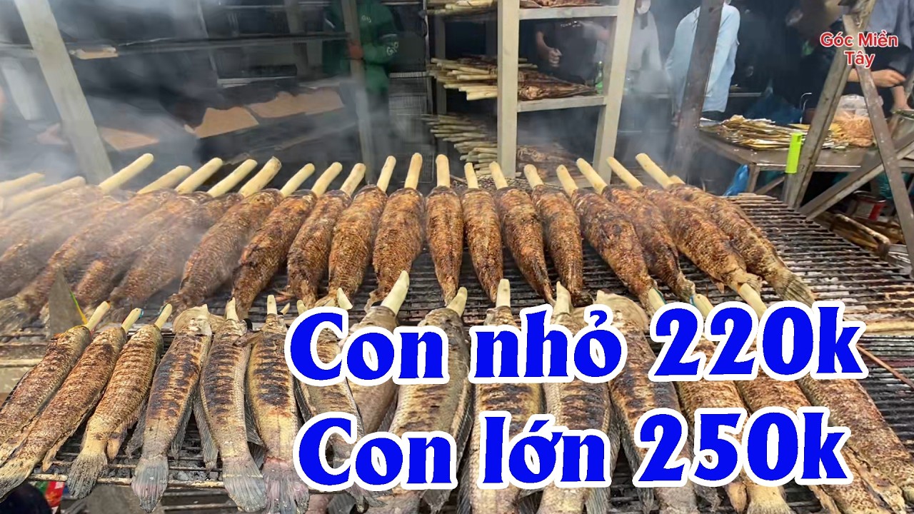 Cơ sở cá lóc nướng siêu ngon Ngày Vía Thần Tài Bính Ngọ 2026 từ 220k - 250k tại Sài Gòn | GMT #592