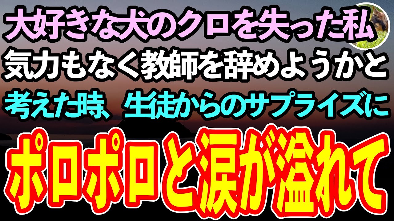 【感動する話】大好きなペットのクロを失った私。同僚には「たかがペットですよね？」と言われ、教師を辞めようかと落ち込んでいたある日。生徒からの思いがけないプレゼントに涙が止まらず…【泣ける話】