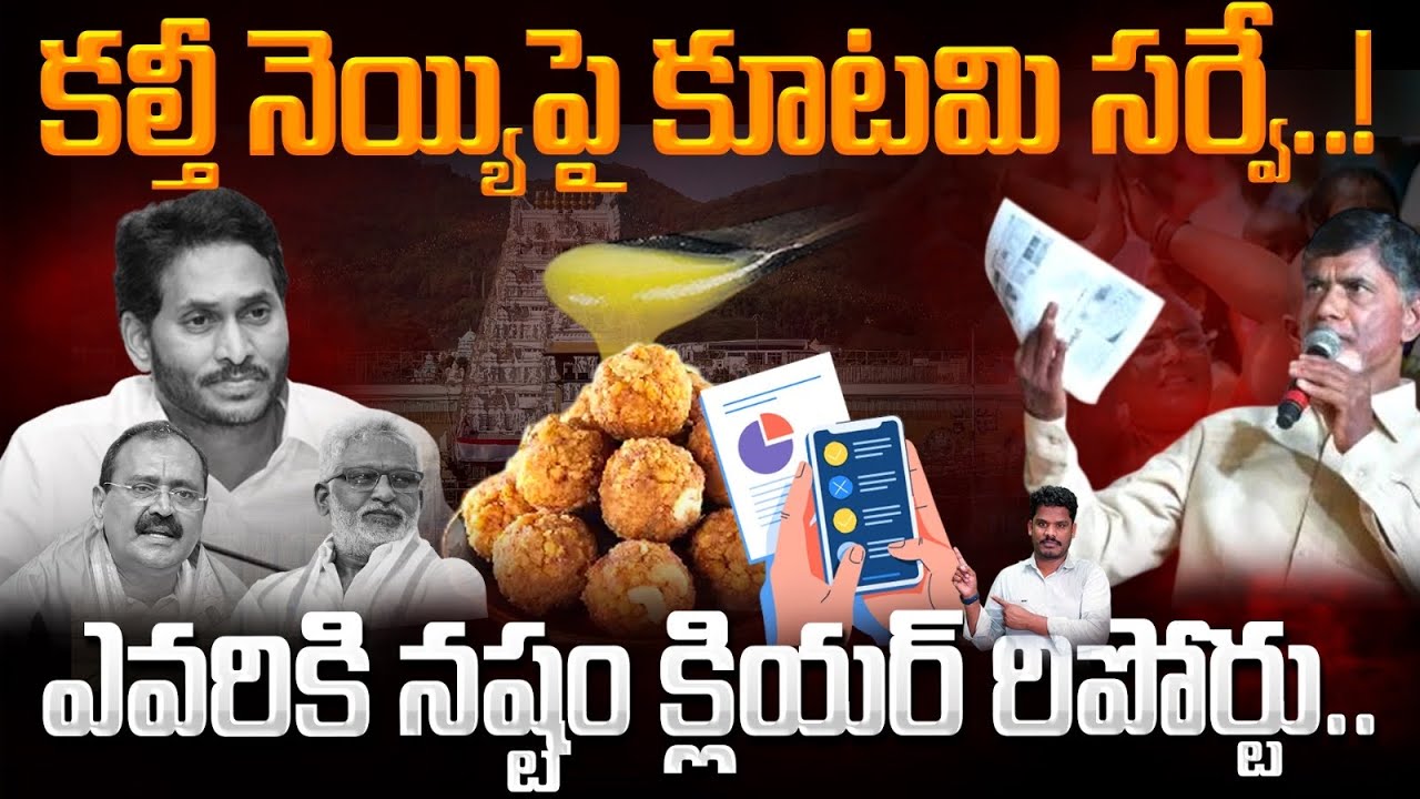 Survey on TTD Ghee Issue: నెయ్యిపై సర్వే, కూటమికి క్లియర్ రిపోర్టు | Lokesh Plans PINN Channel 