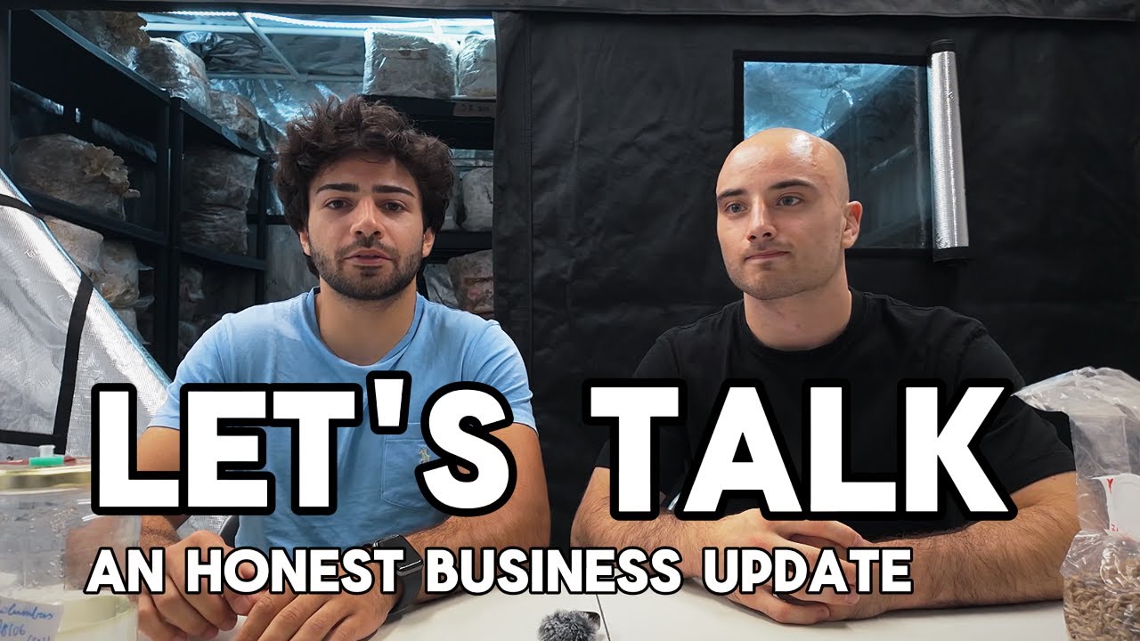 Can You Really Make Money Growing Mushrooms? Our Honest Update