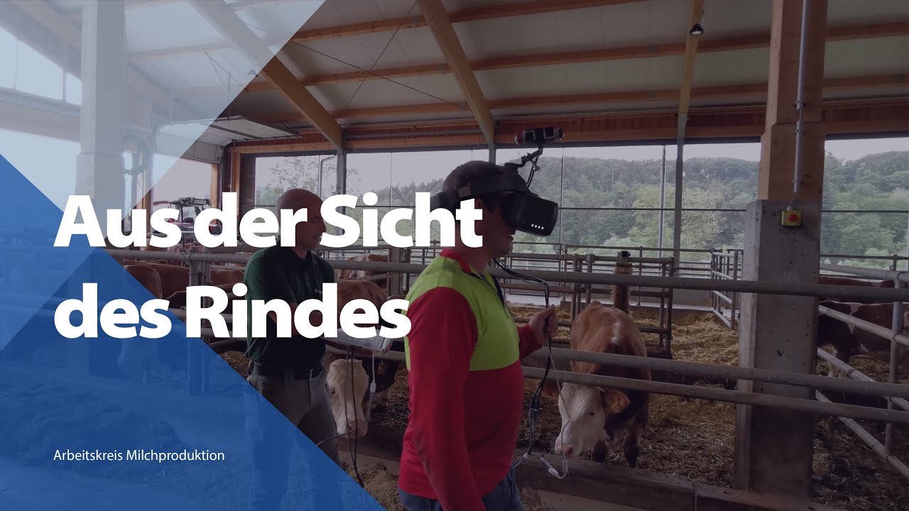 Aus der Sicht der Kuh