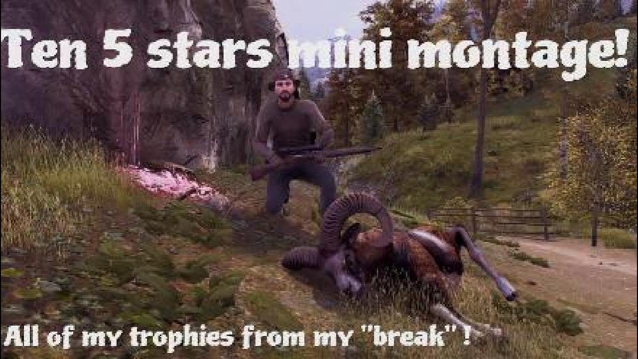 5 Star mini montage! Every 5 star from my break! | way of the Hunter