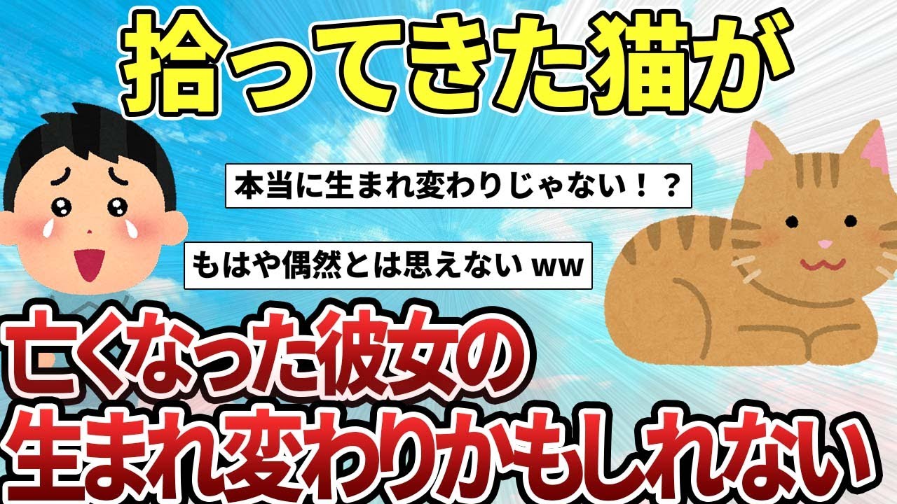 【2ch感動スレ】拾ってきた猫が、死んだ彼女の生まれ変わりかもしれん【ゆっくり解説】