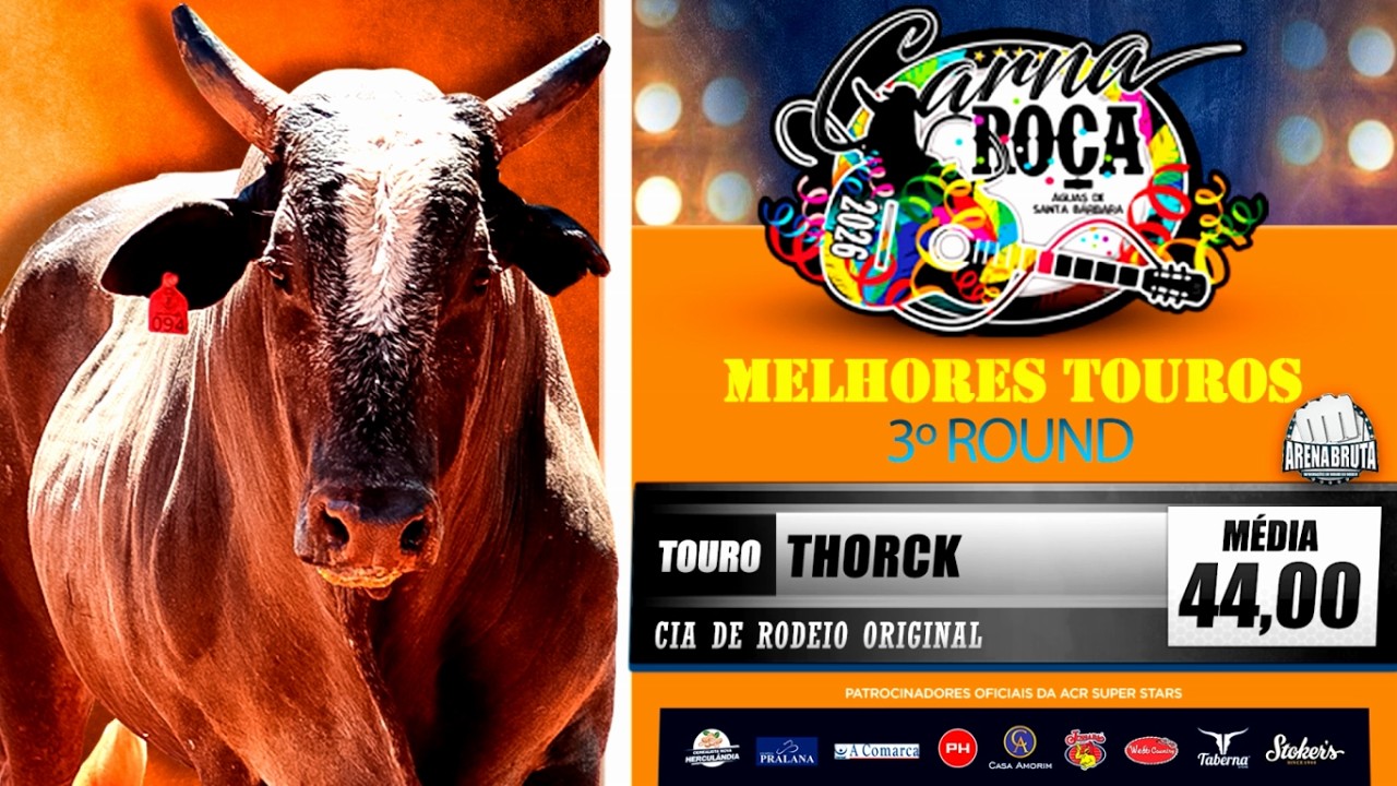 RODEIO DO CARNA ROÇA 2026 - MELHORES TOUROS | DOMINGO