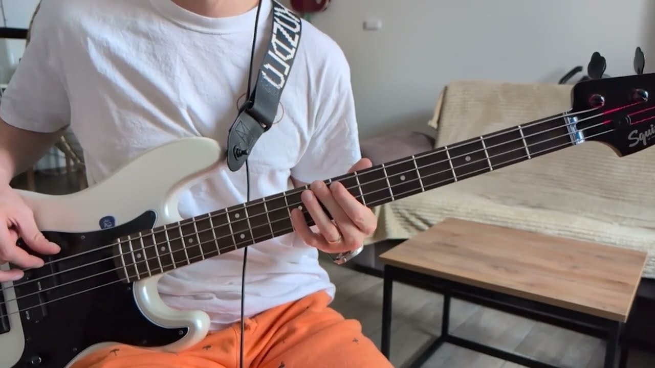 Lorde - Man Of The Year Bass cover