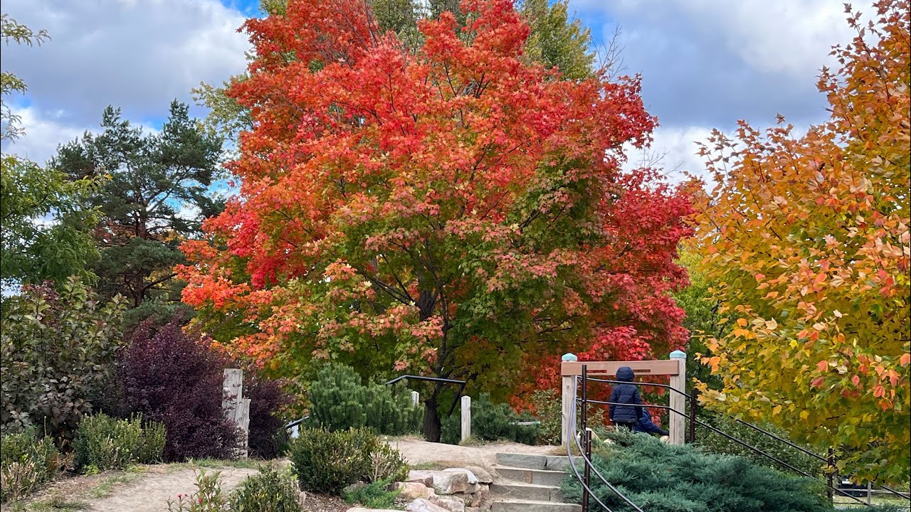 Trip To Potsdam,NY (Why so COLD?!)