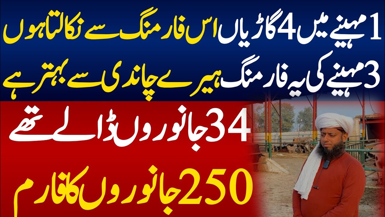 Cattle Farming Business idea in Pakistan