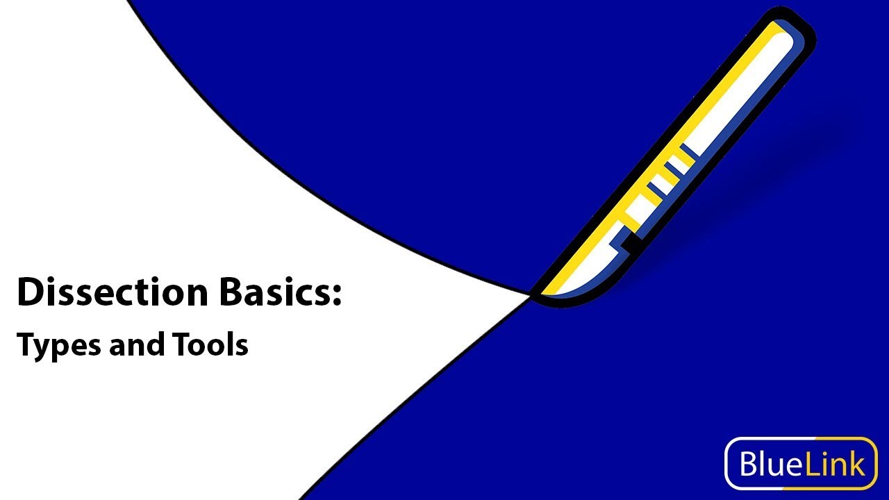 Dissection Basics | Types and Tools