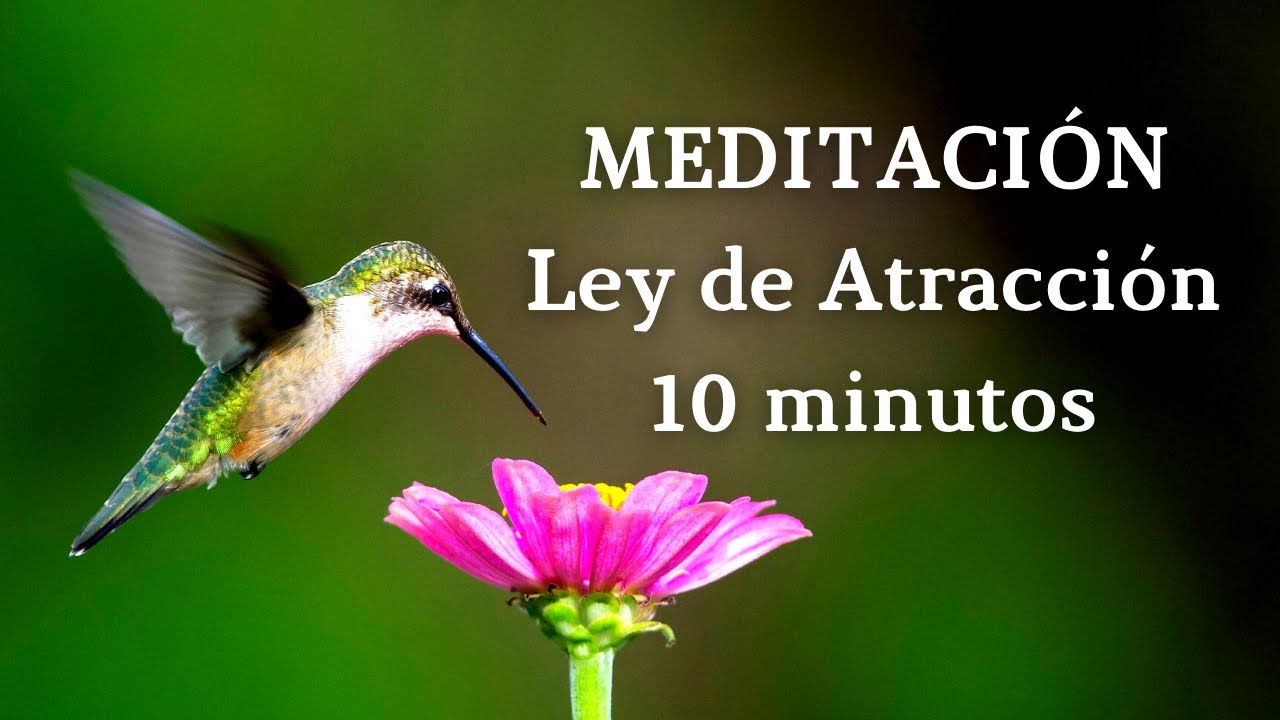 🦋Meditación Guiada 10 minutos LEY DE ATRACCIÓN 🦋|| Afirmaciones de ABUNDANCIA