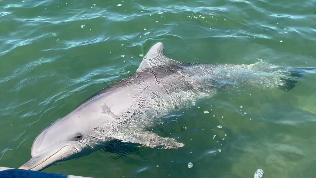 Caravaning at Whyalla, South Australia