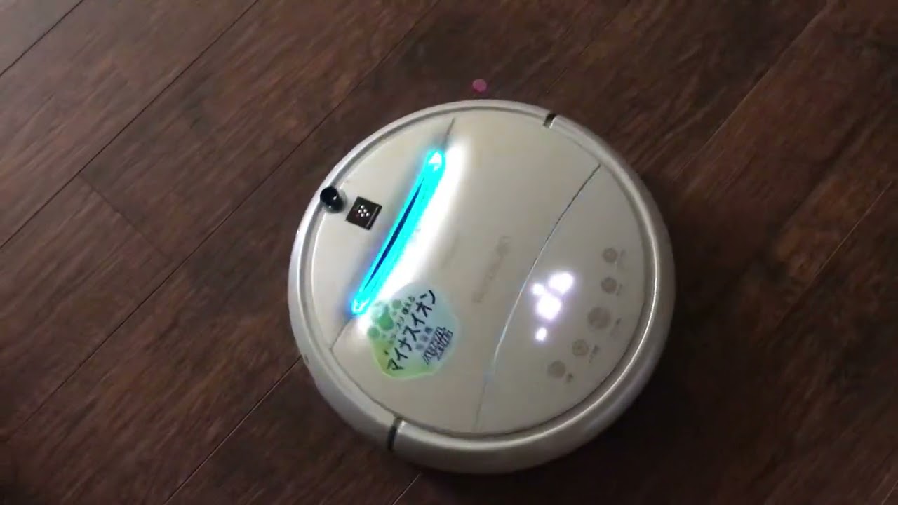 Cocorobo vs braava