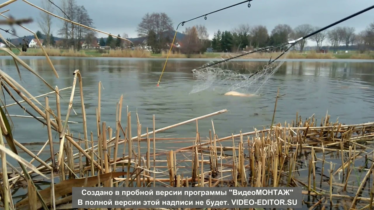 Bissanzeiger,  Schwingspitze 