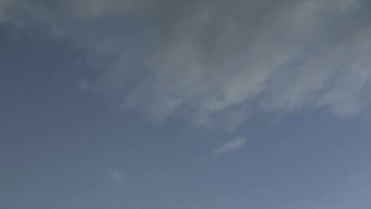sadness of the far sky - bird in north river