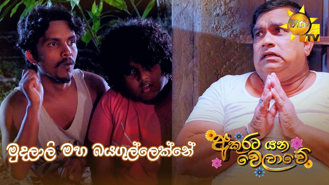 මුදලාලි මහ බයගුල්ලෙක්නේ