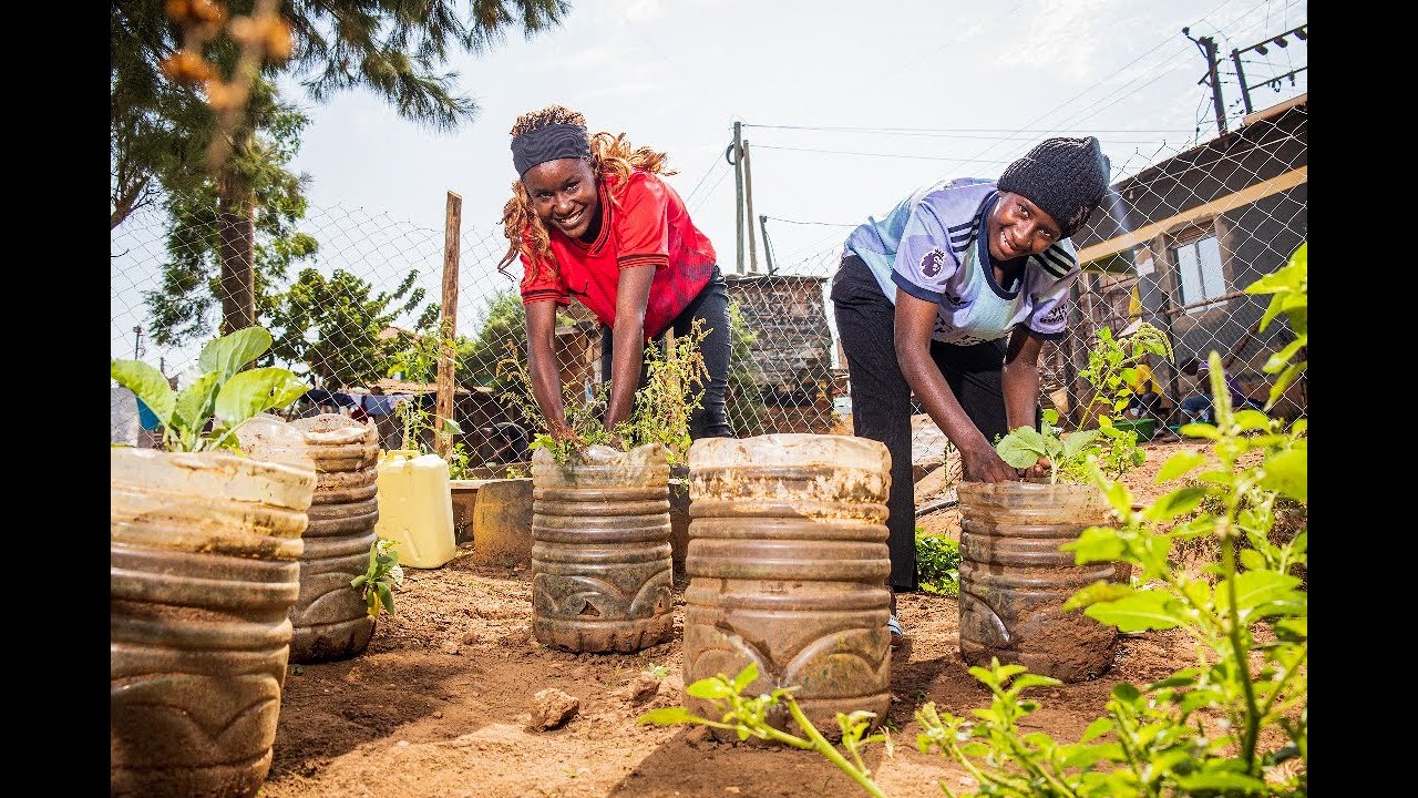 A Taste of the City, Urban Food Hives