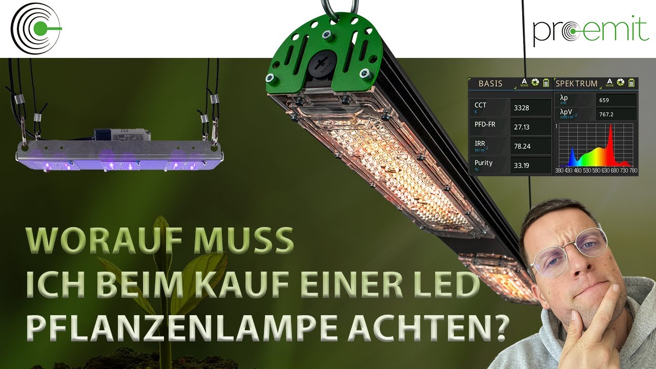Worauf muss ich beim Kauf einer LED Pflanzenlampe achten?