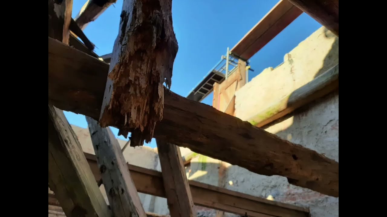 Хроника одного дома ⚒️🪖🥽 2026.03. Скоро сказка сказывается