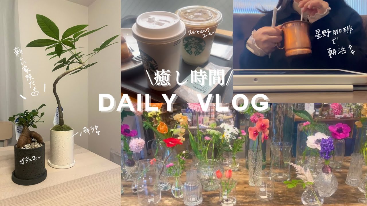 日常vlog》朝活から始まるごきげんな休日☕️ l  観葉植物を迎えた日🌿 l  雑貨屋巡り📚🌷
