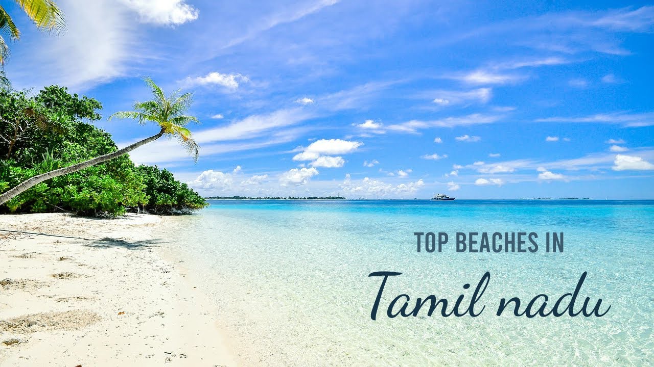 Top 5 beaches in Tamil Nadu Indian Panorama| #shortvideo #recommended