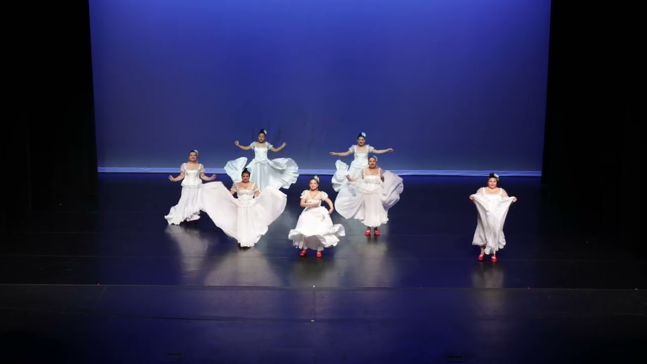 Chacarrera del Violin