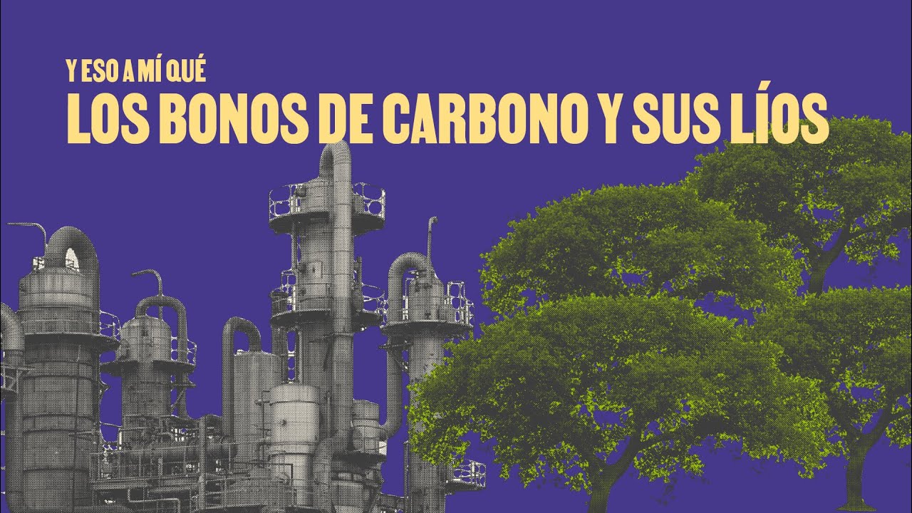 Los bonos de carbono y sus líos: ¿Y eso a mí qué? | La Silla Vacía