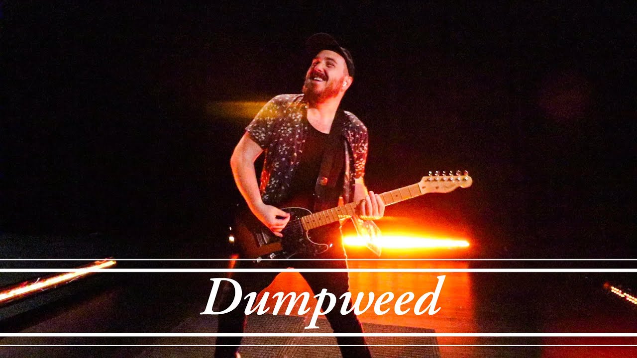Dumpweed (Modern Pop Punk Version)