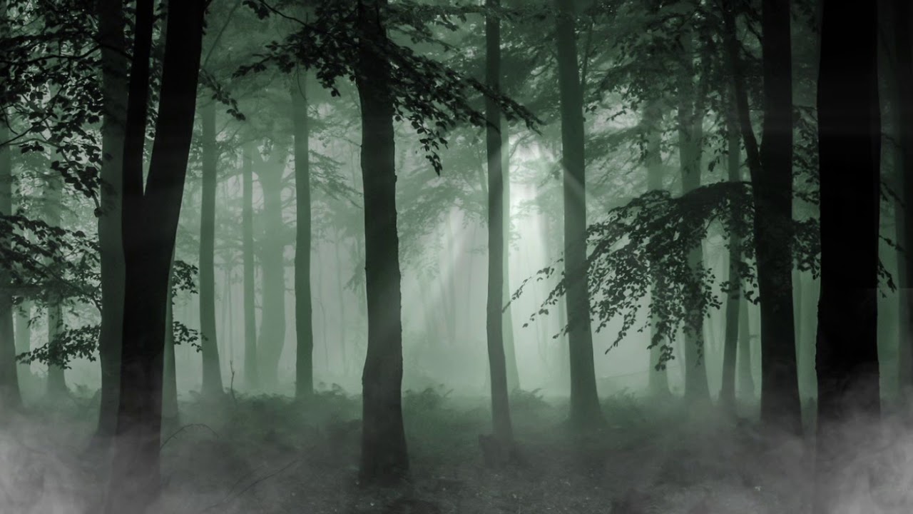 Looping Background Video - Hutan Gelap