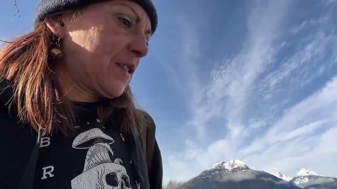 What a bright sunny winter day this video goes with my hammering in the moss videos from a few days