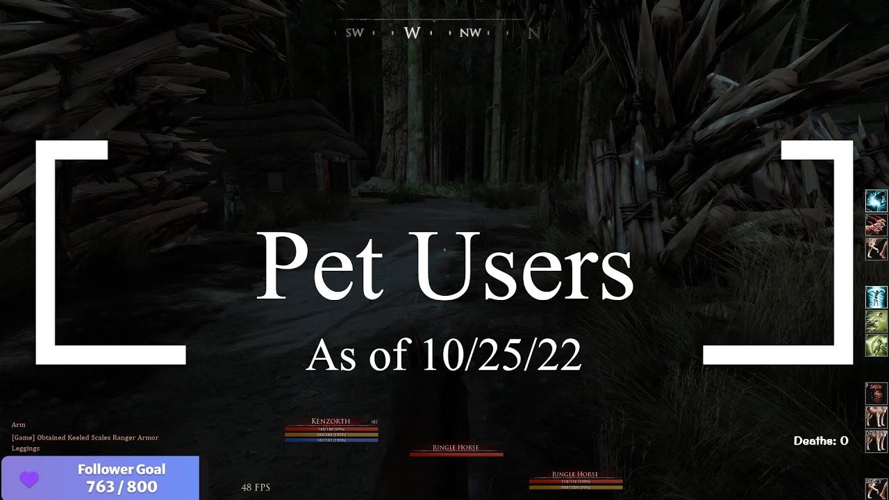 Pet Users in Mortal Online 2, are Pets OP? Should you be a Tamer/Dominator? My opinions.