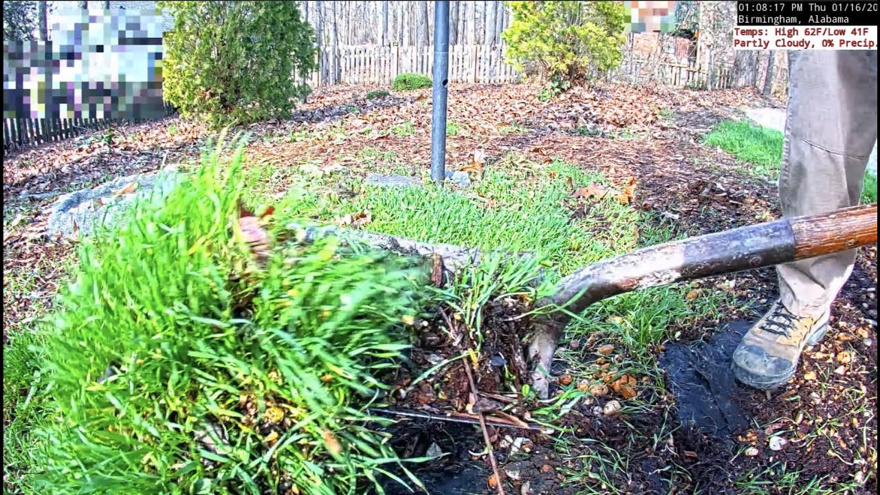 Ground Maintenance for Bird Feeders - Jan 16, 2020