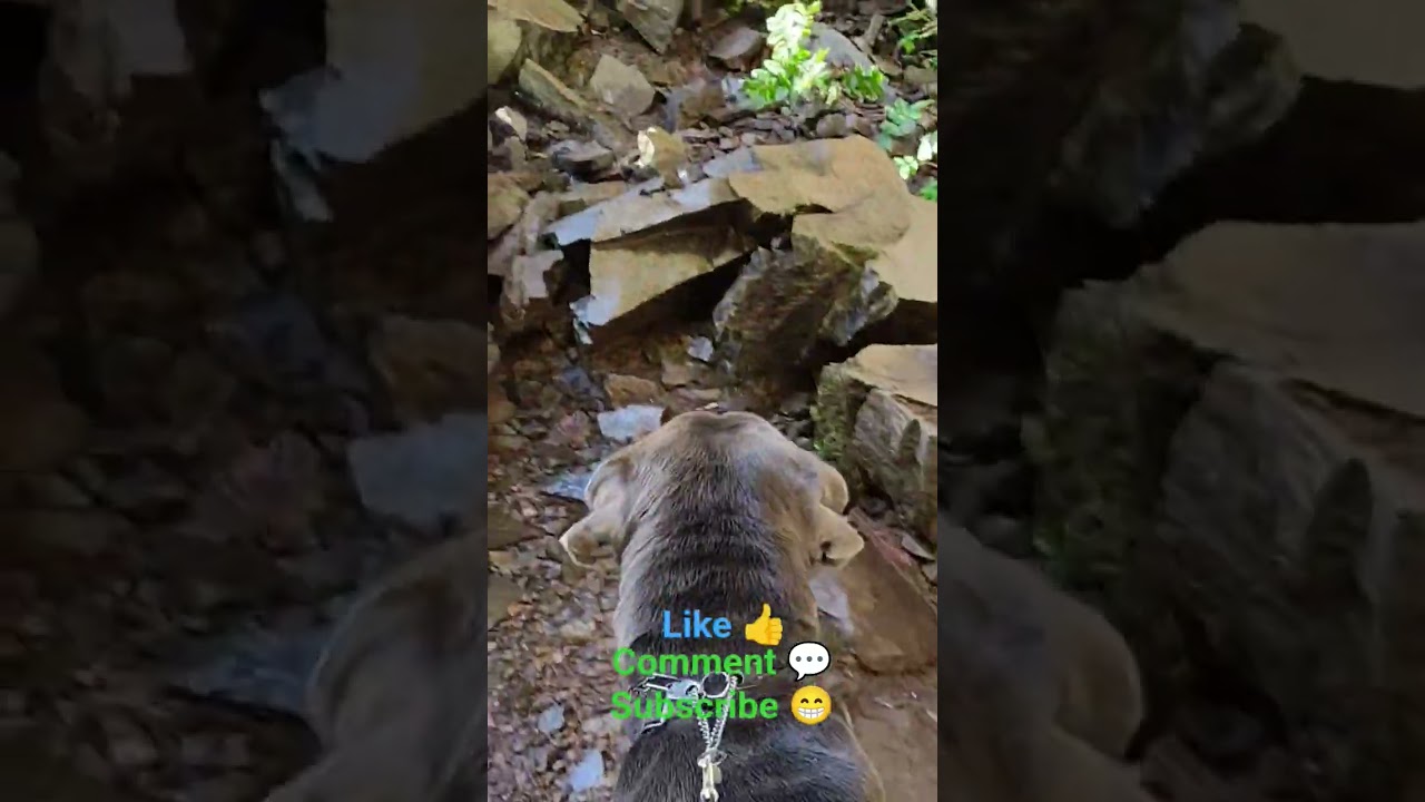 Grotto Falls waterfalls 💦🌊 Oregon 
