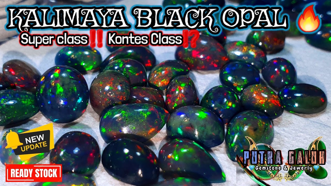 Eps#42 - Kalimaya Black Opal Spek Kontes⁉️