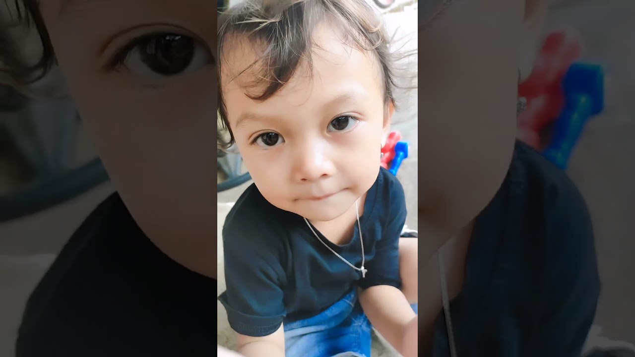 auristela digigit kucing