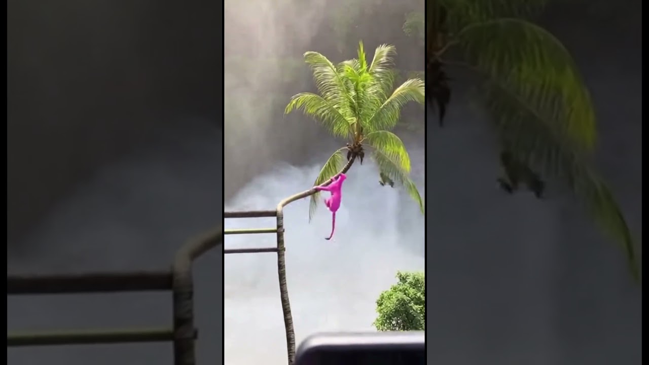 Heart stopper monkey escapes, leopard slips as the palm branch breaks! ⚠️🐒🐆