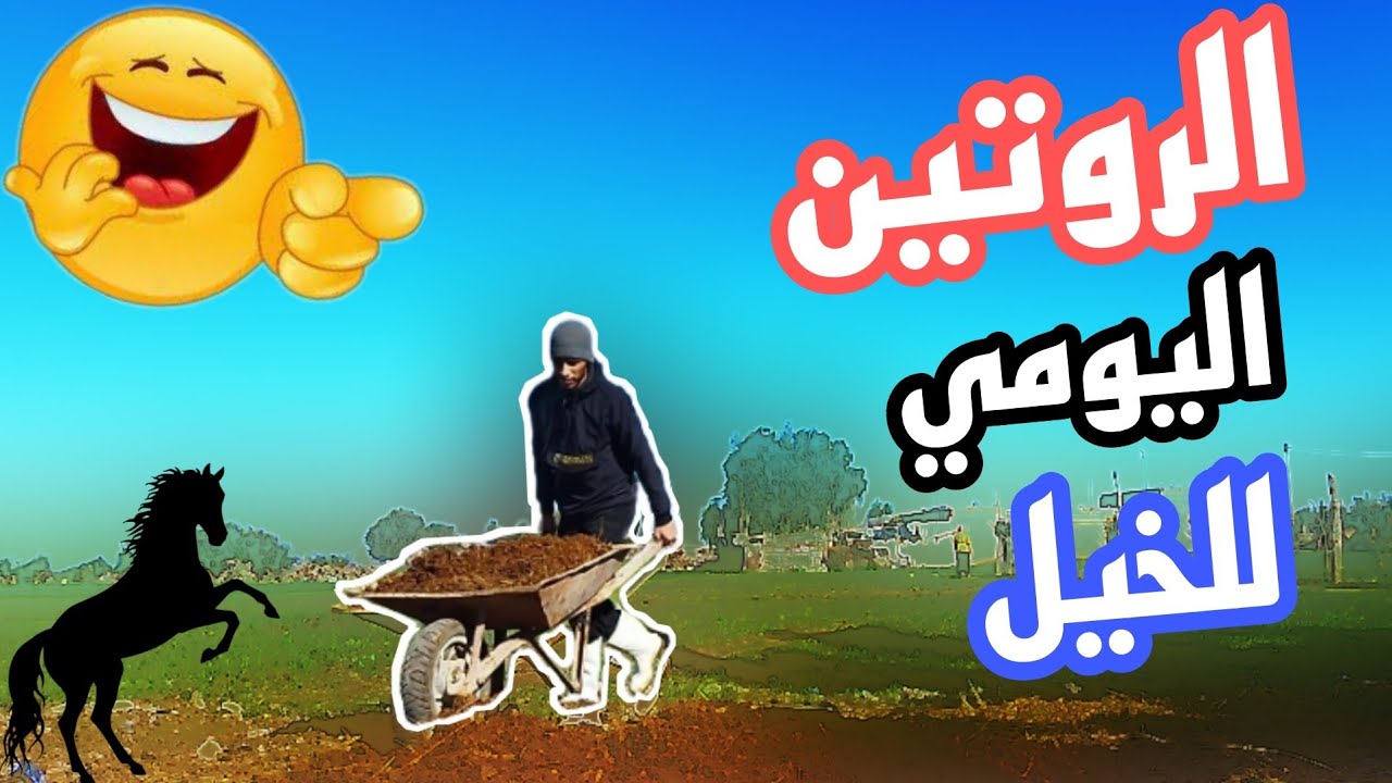 روتين يومي مع الخيول في البادية 😊😍😍🥳🐴