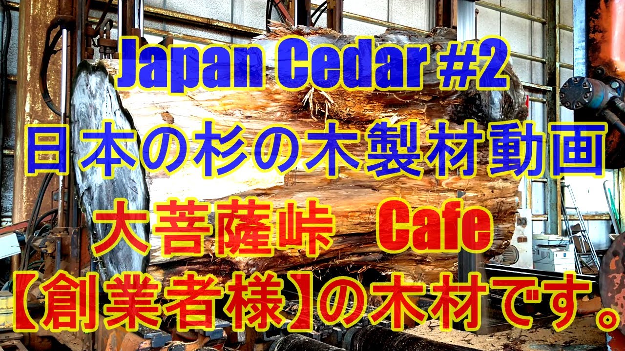 Japan Cedar＃２日本の杉の木＃２