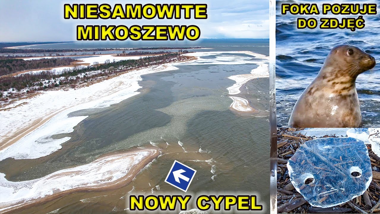 15.02.W Mikoszewie utworzył się nowy cypel. Jak wygląda ujście Wisły do morza. Lodowa maska...