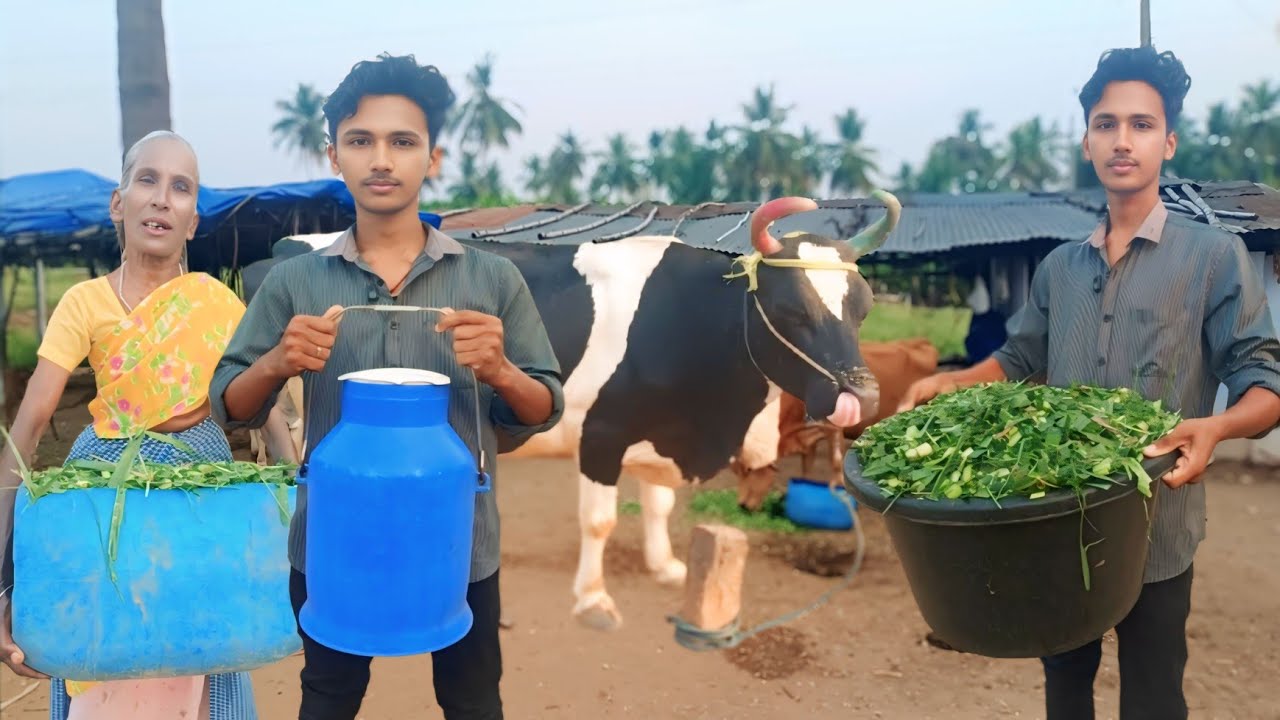 21 வயது இளைஞர் கல்லூரி படித்துக்கொண்டே ஆரம்பித்த Dairy Farm | Hen Egg Incubator | Siva Arun Tv