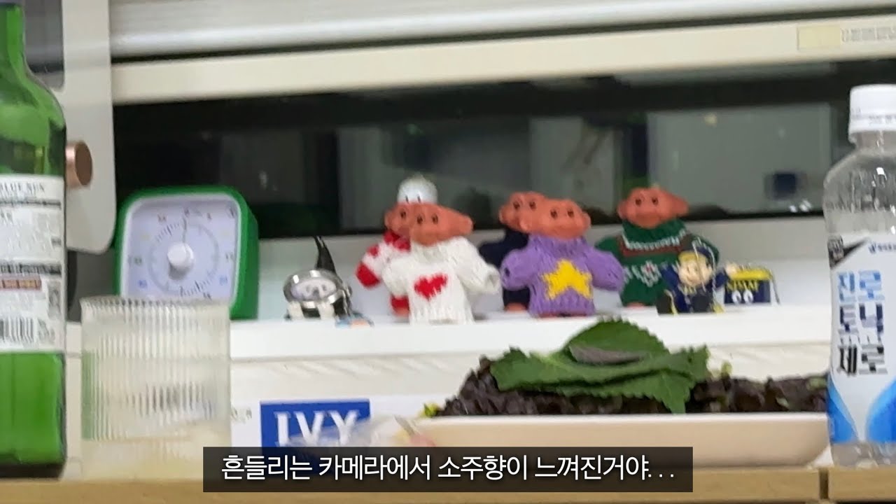 만 29세 백수가 소주 와인 하이볼을 섞어 마시면 생기는 일 🥵🍺