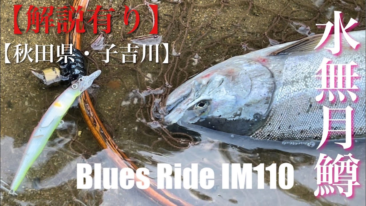 2022/06【桜鱒】子吉川 サクラマス釣行 H.F.C 三浦 丞司