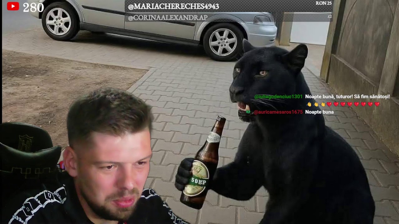 Alexandru se smereste! Jaquelline a avut dreptate! Umilinta mare! Diana a zis bine!