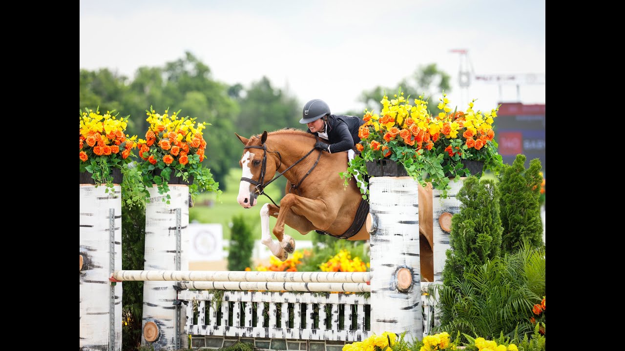 Get to know Babylon and his team | Chewy Horse of the Month