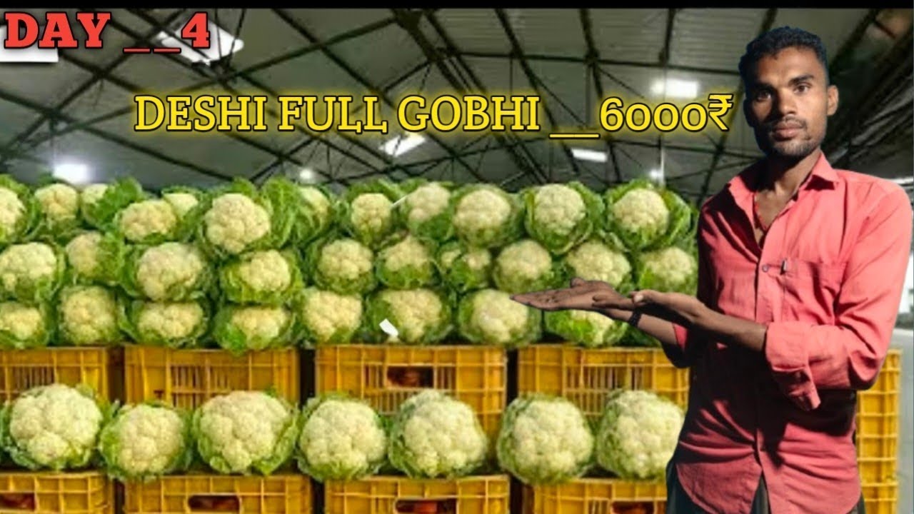 आज मैंने खरीदा देशी फूल गोभी __6000₹? इतनी ज्यादा कमाई __2500₹😱😱?