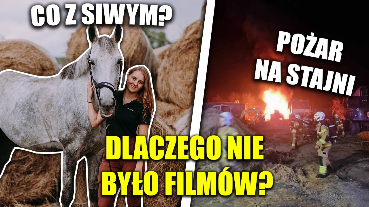 POTRZEBOWALIŚMY PRZERWY *POŻAR NA STAJNI*