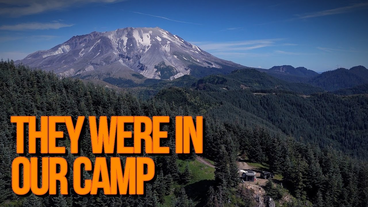 They Came Into Our Camp...and Took Something