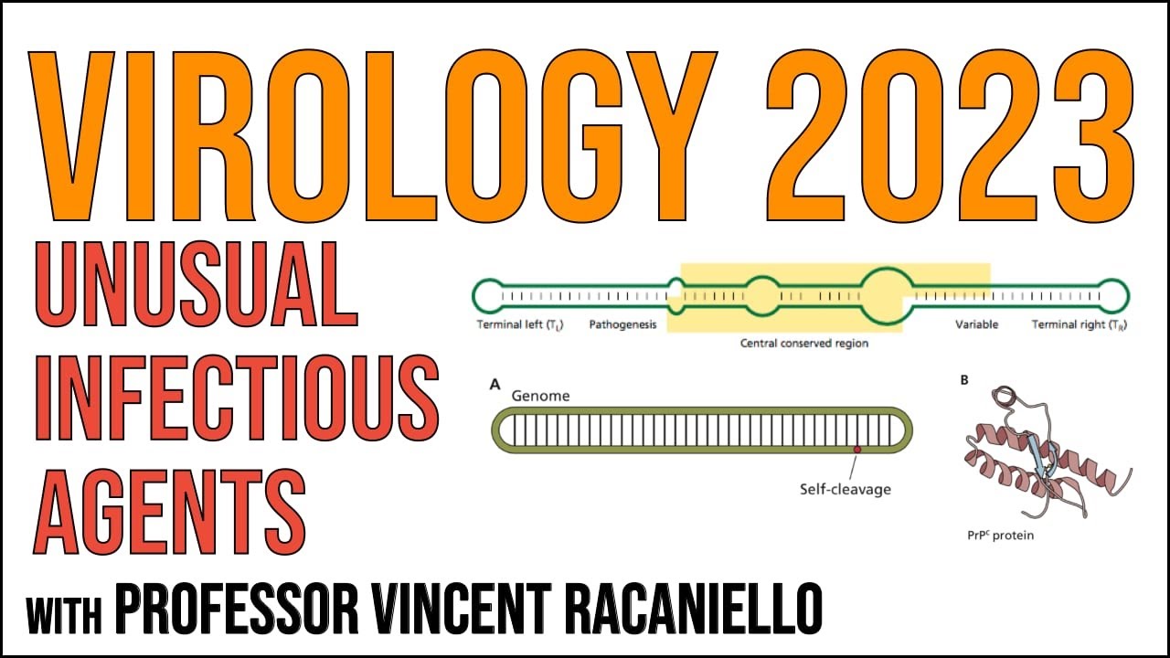 Virology Lectures 2023 #24: Unusual infectious agents